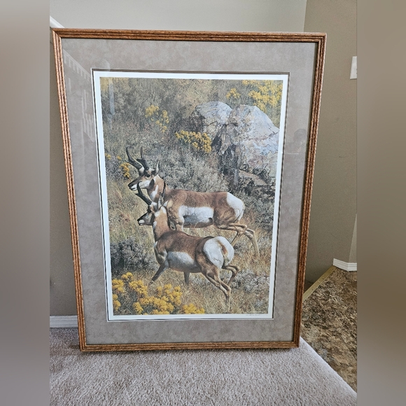 Carl Brenders - Roaming the Plains - Picture 1 of 3